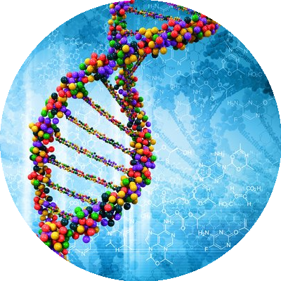dna_circle